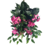 25" Impatiens Hanging Bush