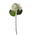 22" Real Touch Hydrangea Stem - Cream