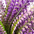 16" Bead Grass Bush - Purple