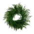 24"  Asparagus Fern Wreath