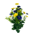 18" Mini Daisy Bush - Blue/Yellow