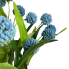 18" Globe Thistle Bush