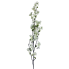 36" Quince Blossom Spray - Cream