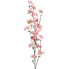 36" Quince Blossom Spray