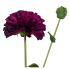 31" Dahlia Spray - Burgundy