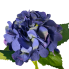 19" Long Stem Hydrangea - Dark Blue