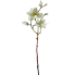 25" Magnolia Spray - White