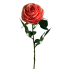20.5" Single Rose- Coral