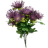 Pincushion Flower- Purple