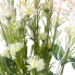 24" Wild Flower & Baby's Breath Bush- white