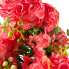 19" Hydrangea & Daisy Bush - Coral