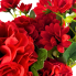 19" Hydrangea & Daisy Bush - Red