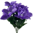 20" Clematis Bush - Purple