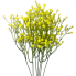 17" Baby's Breath Gypsophila Filler - Yellow