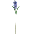 30" Hyacinth Stem - Blue
