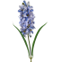 30" Hyacinth Stem - Blue