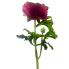 13" Ranunculus Spray - Fuchsia