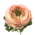 13" Ranunculus Spray - Pink/Cream
