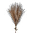 23" Feather Pampas Bundle - Taupe
