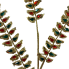 34" Jeweled Long Leaf Spray - Red/Green/Gold