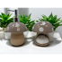 Ceramic Natural Mushroom Soap Pump