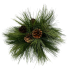 Long Needle Pine Orb with Cones