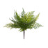 17" Mixed Fern Bush