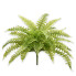 23" Soft Touch Boston Fern Bush - Light Green