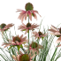 23.5" Black-Eyed Susan Bush - Pink