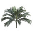 29" Phoenix Palm Bush - Green