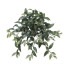 22.5" Ruscus Hanging Bush