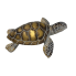 6" Gold Turtle