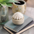 Porcelain Essential Oil Diffuser - Succulent