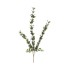 36" Huckleberry Spray