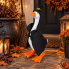 Gordy Goose Outfit - Witch