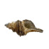 3.5" Nautical Napkin Ring - Shell