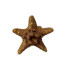 3.5" Nautical Napkin Ring - Starfish