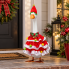 Porch Goose Outfit- Christmas Dress