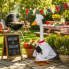 Porch Goose Outfit- Chef