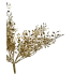 16" Mini Boxwood Bush - Gold