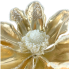 22" Pearl Accent Golden Magnolia Stem
