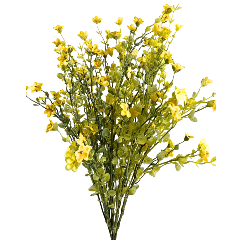 20" Yellow Forget Me Not Bush