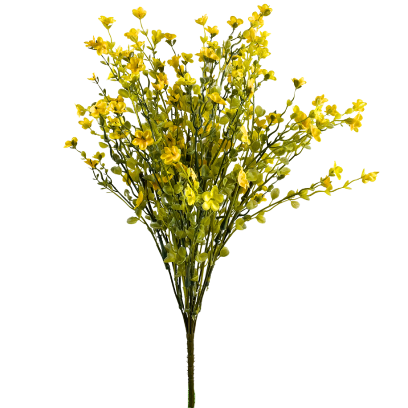 20" Yellow Forget Me Not Bush