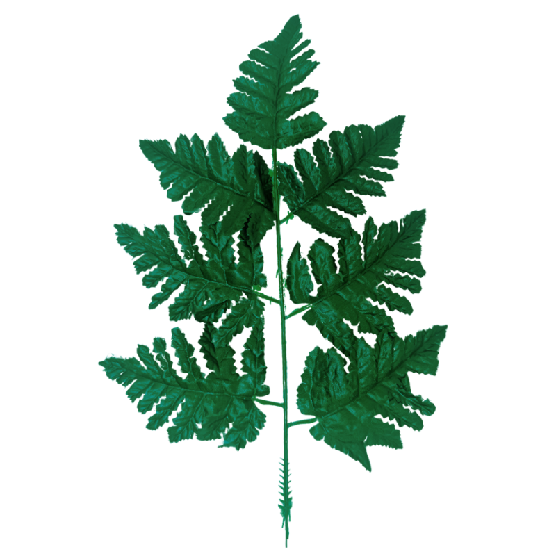 15" Leather Fern Bundle