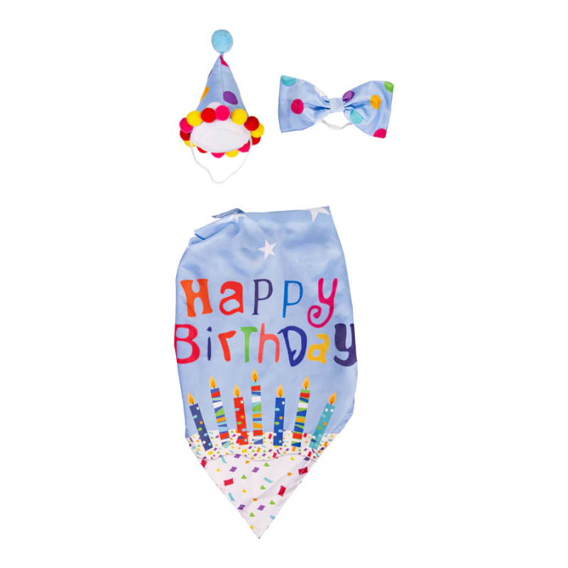 Porch Goose Outfit- Birthday Boy