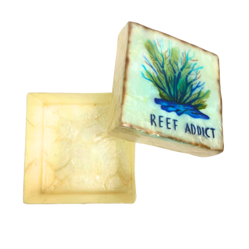 3" Capiz "Reef Addict" Trinket Box
