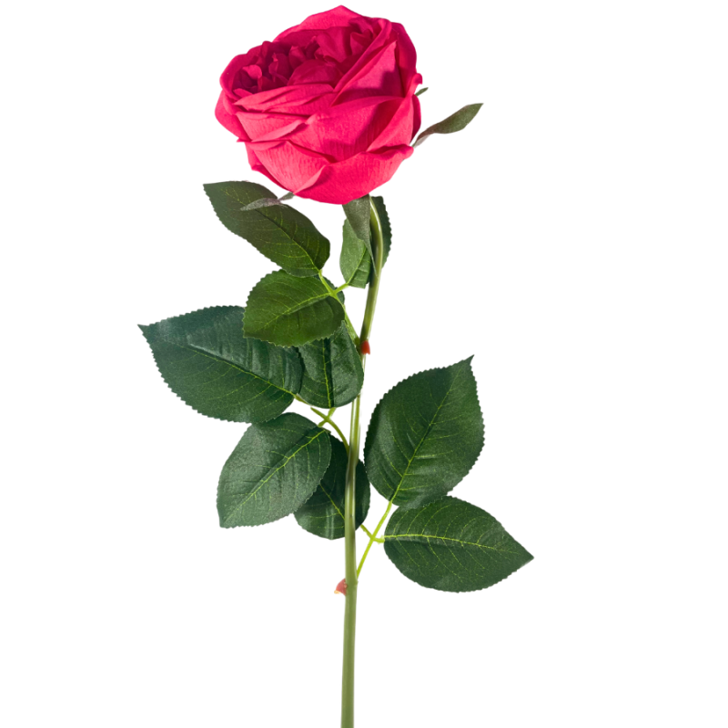 30" Cabbage Rose Stem - Hot Pink