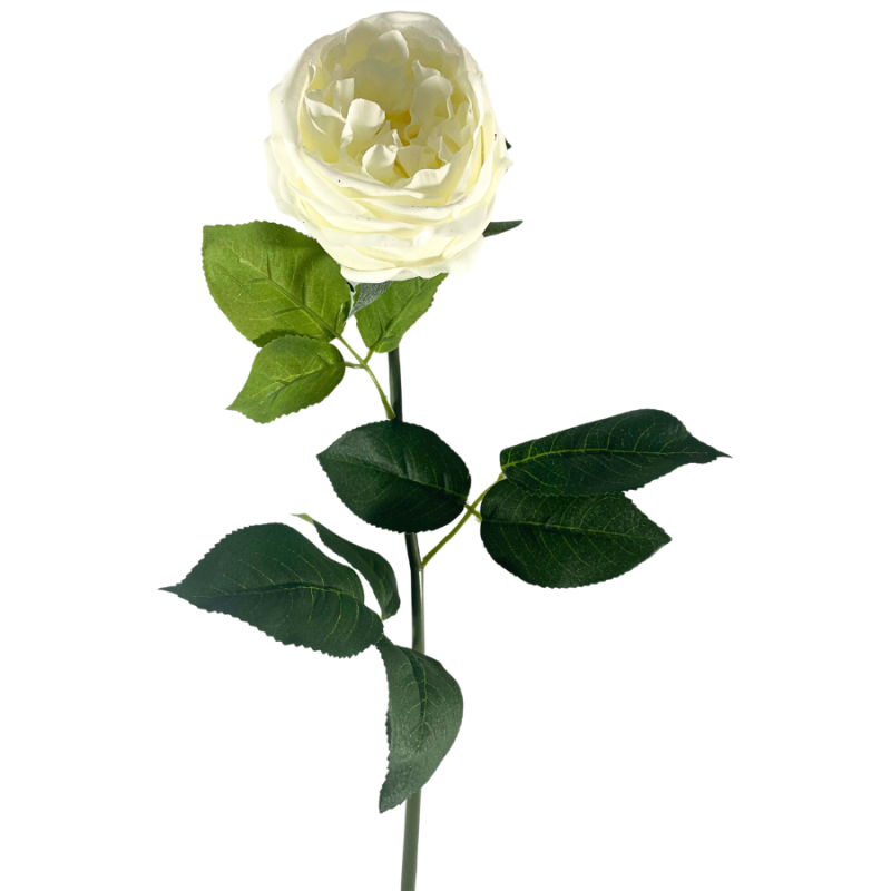 30" Cabbage Rose Stem - Cream