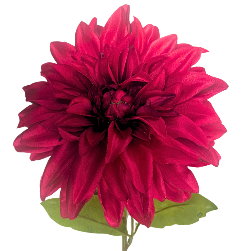 29" Stellar Dahlia Stem- Red
