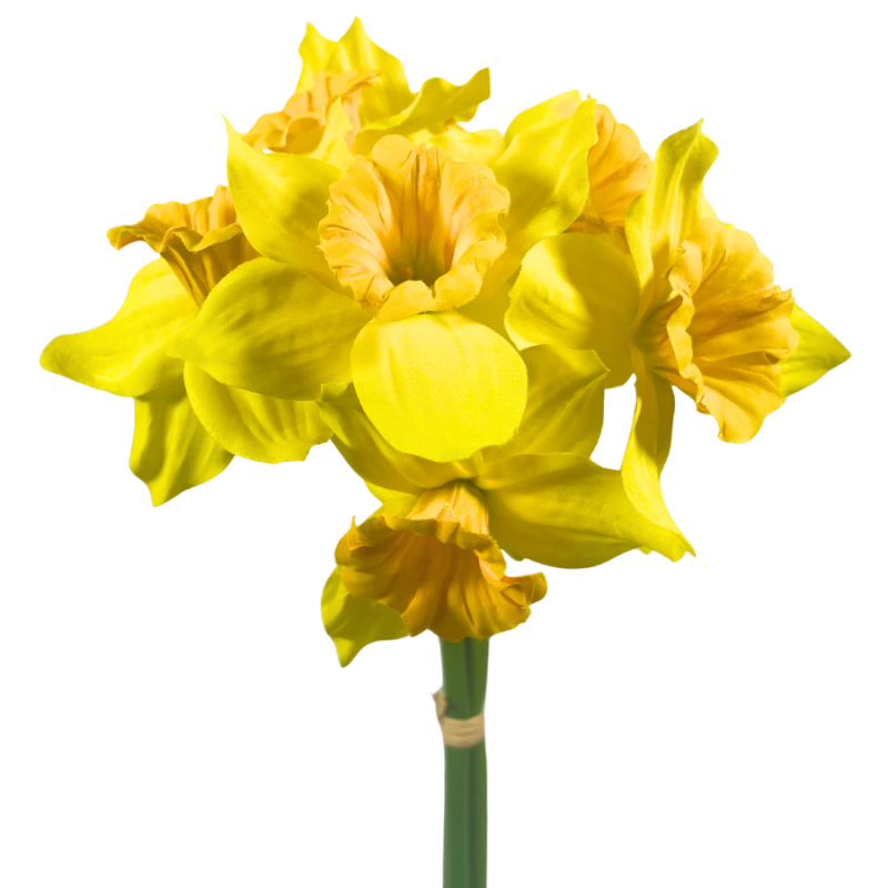 16" Daffodil Bundle -Yellow